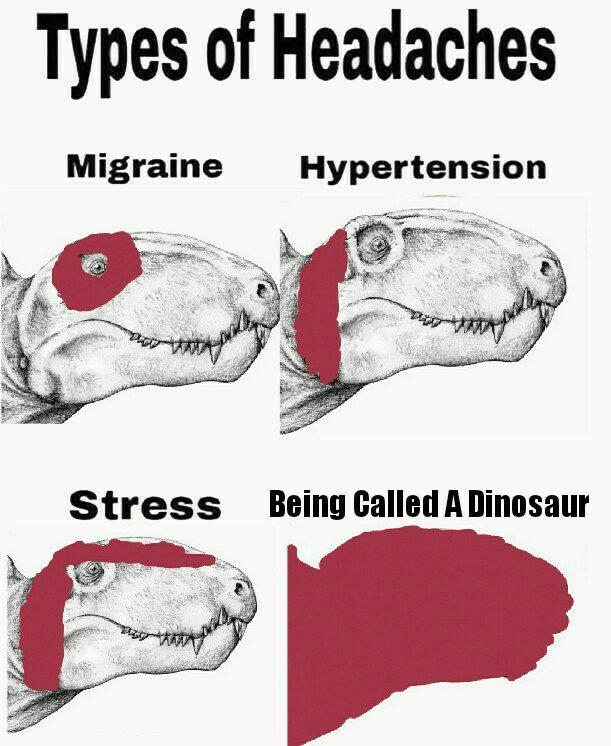 el dimetrodon no es un puto dinosaurio - meme