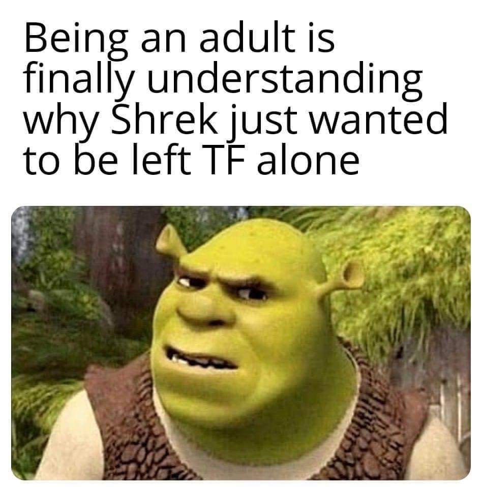 Adulting 101 - meme