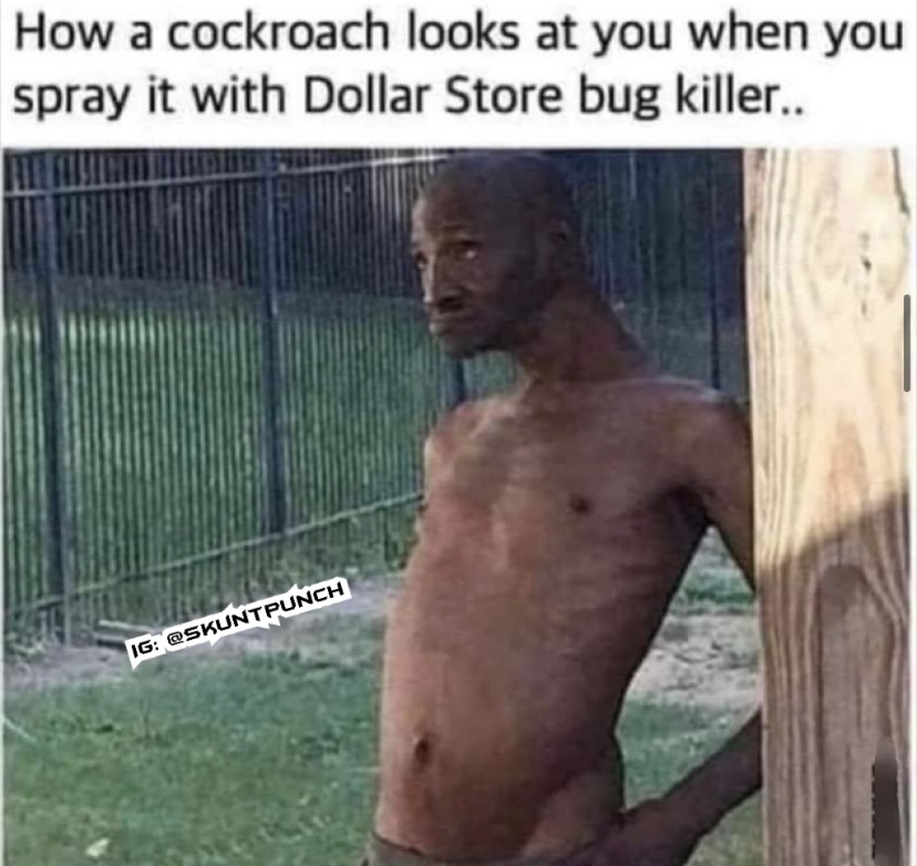 Cockroach - meme
