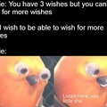 i wish for more wishes