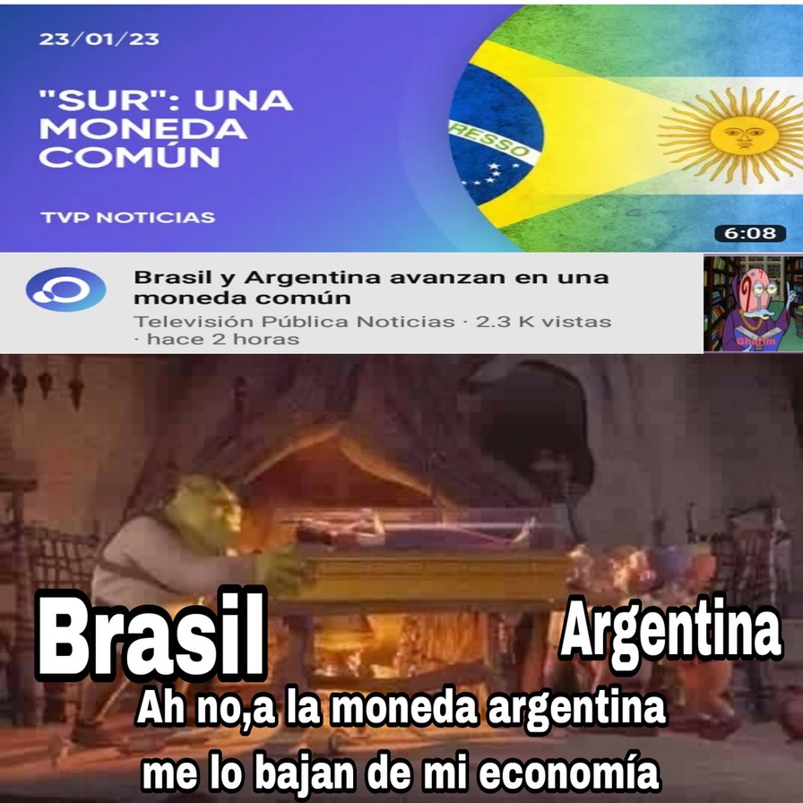 Contexto: parece que hoy en la CELAC se está llevando la idea de que Argentina y Brasil tengan una moneda propia entre ambos países - meme