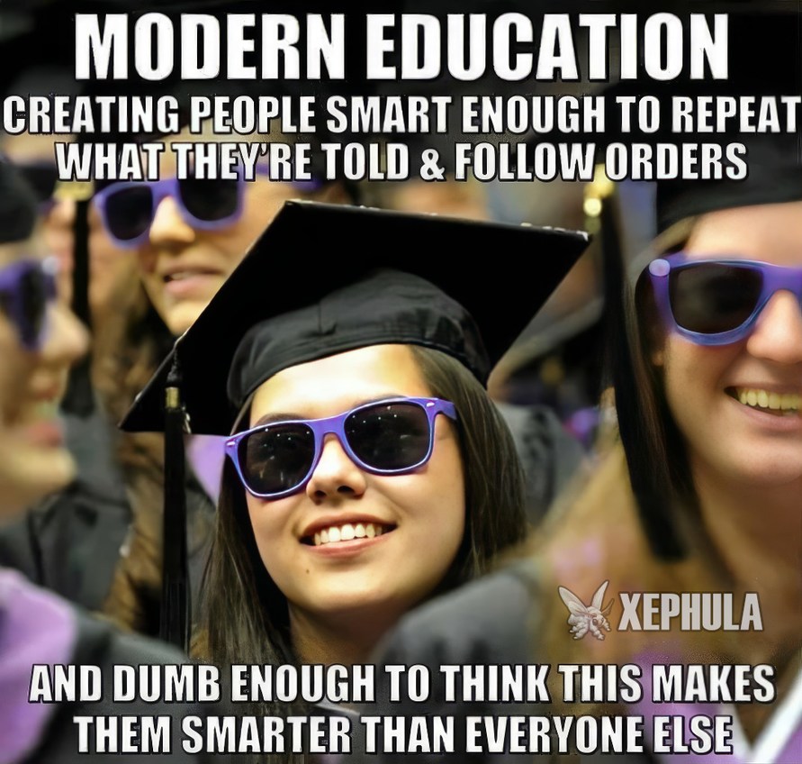 Modern Education - meme