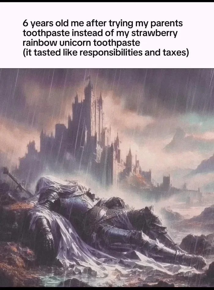I want to be a knight when I never grow up - meme