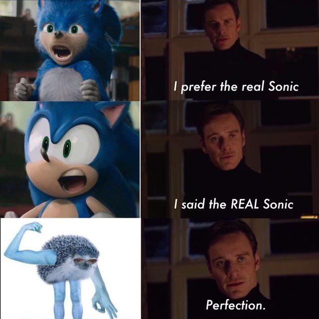 I prefer the real Sonic - meme