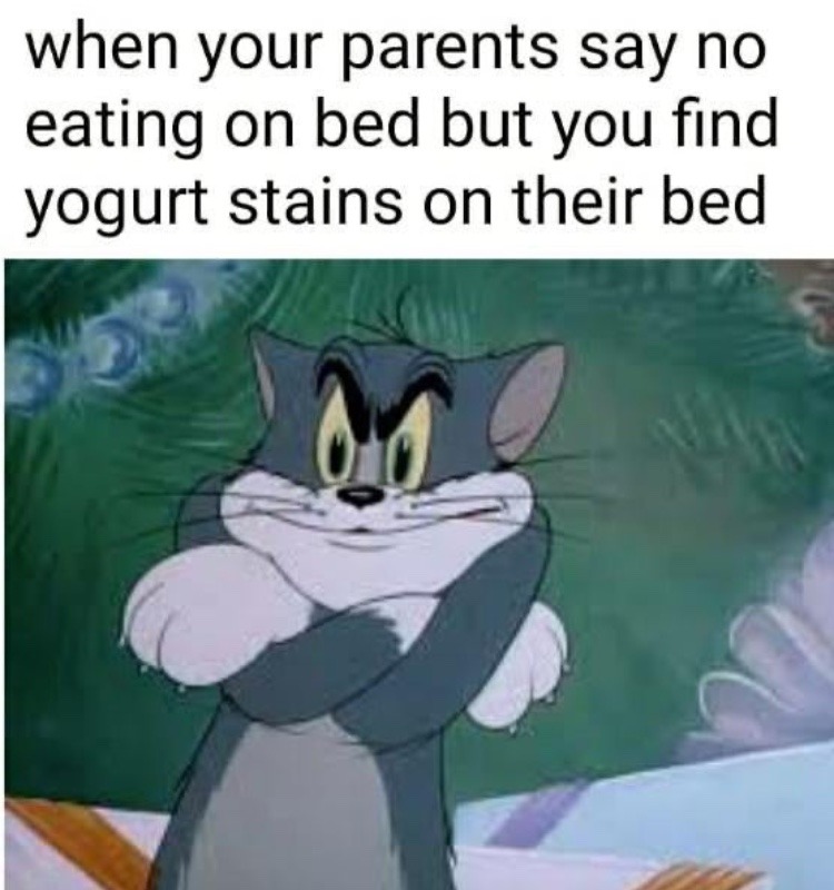 yogurt stains - meme