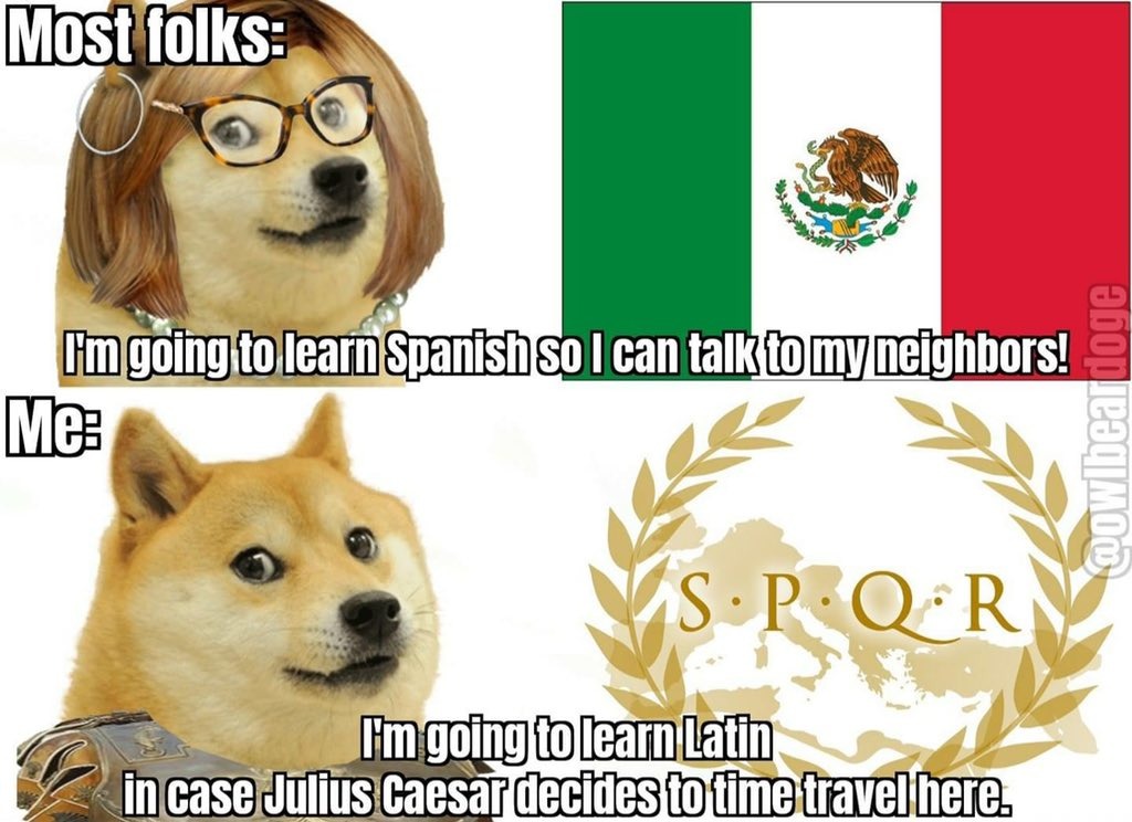 dongs in a language - meme