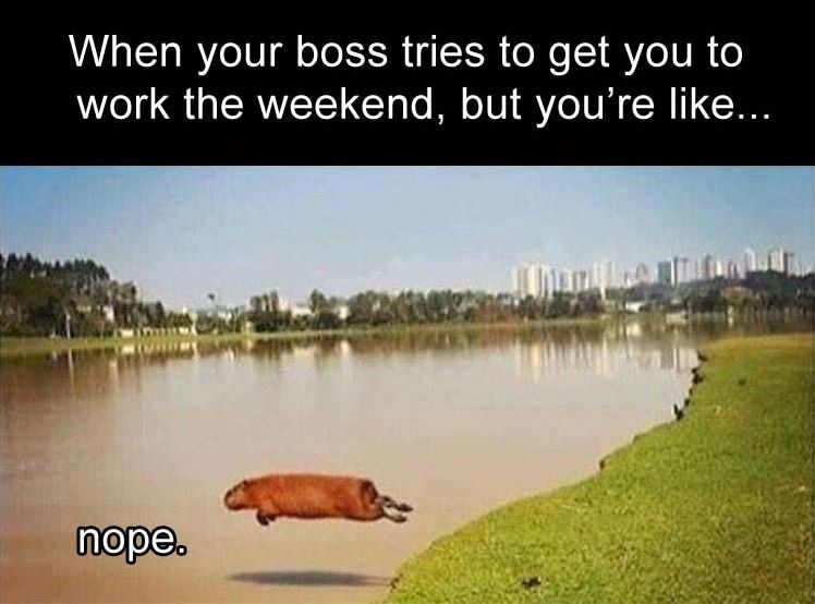 Work during weekends - meme