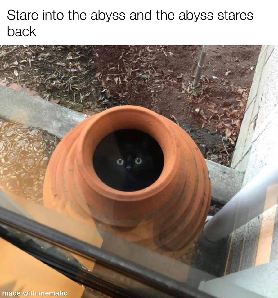 dark cat - Meme subido por BRIcola :) Memedroid