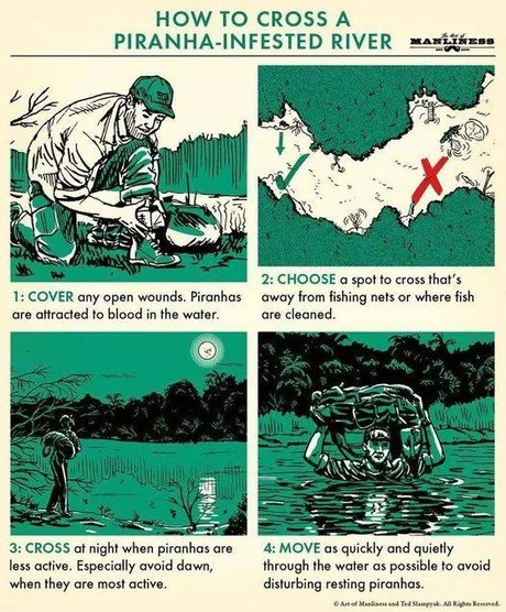 How to cross a piranha infested river - meme