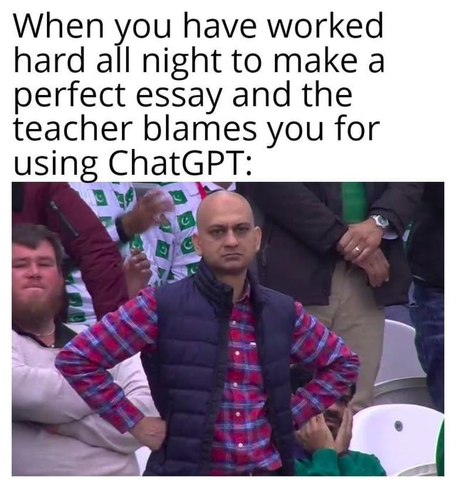 Essay meme