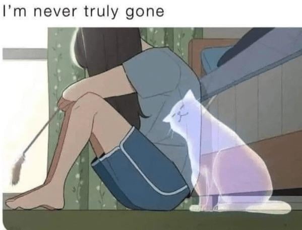 I'm not gone bro, I'm just lurking - meme
