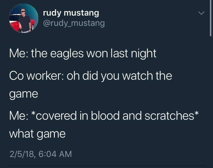 Eagles won cause Murica - meme