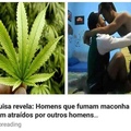 então se eu mato maconheiros na paulada quer dizer que eu sou homofóbico?