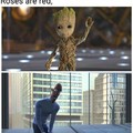 Where is my groot