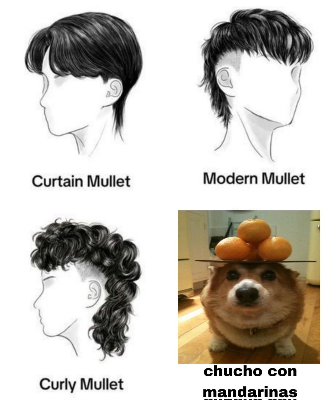 xuxito - meme