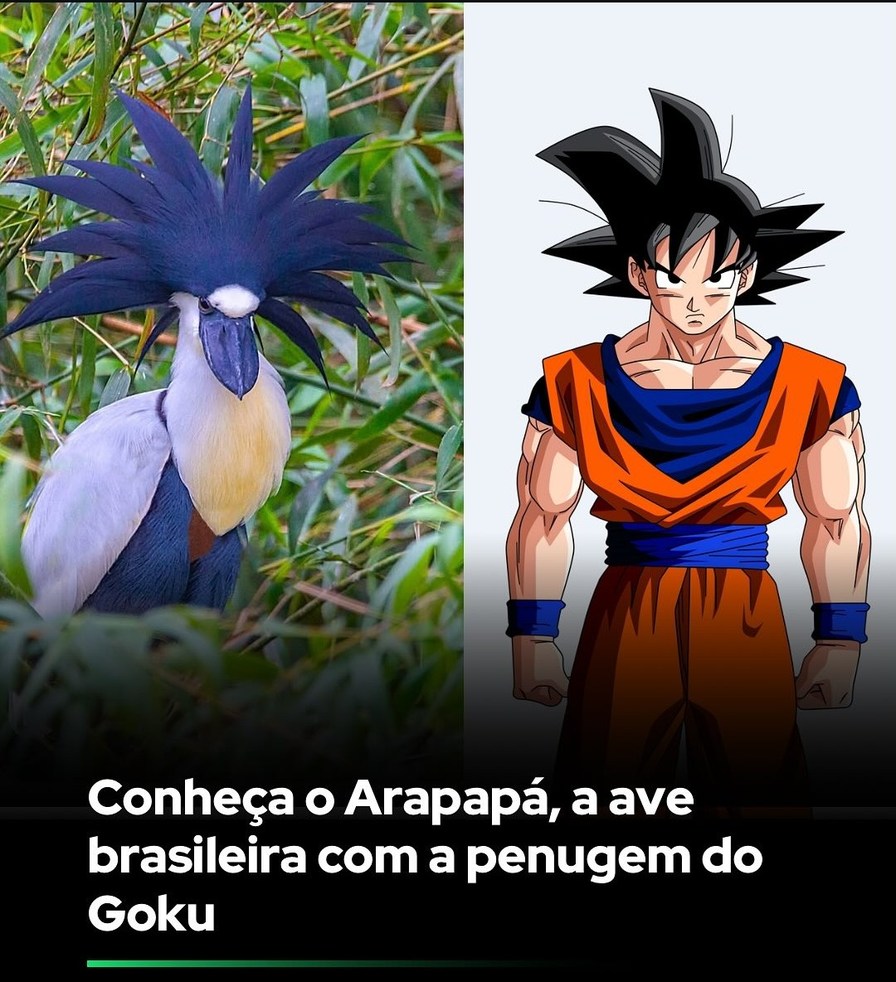 Go ku - meme