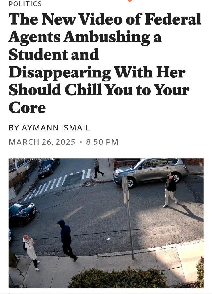 Federal agents disappearing students now, cool cool - meme
