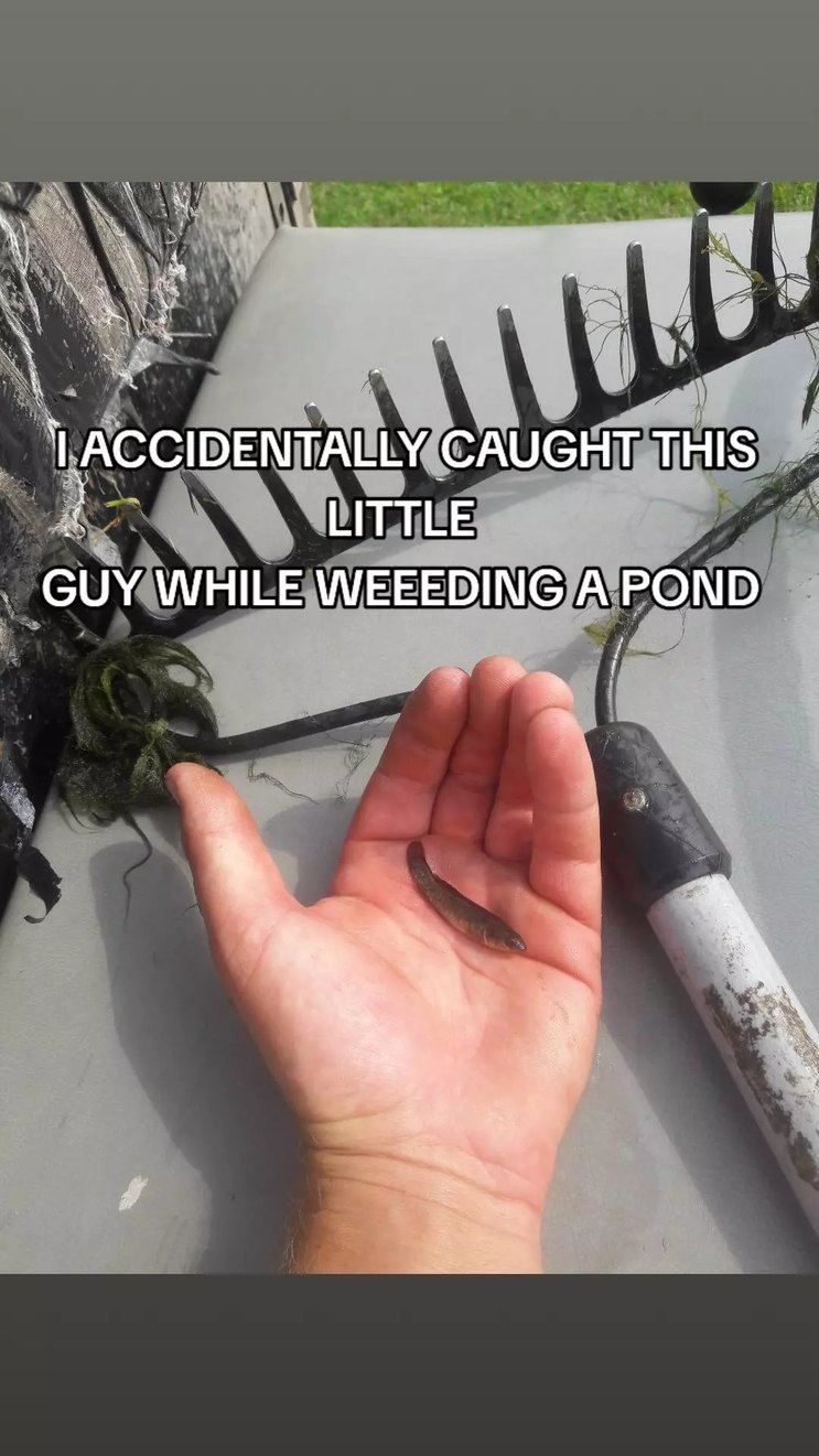 Latest memes / New memes :) Memedroid