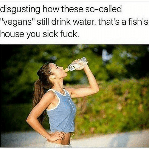 Water is fish house - meme