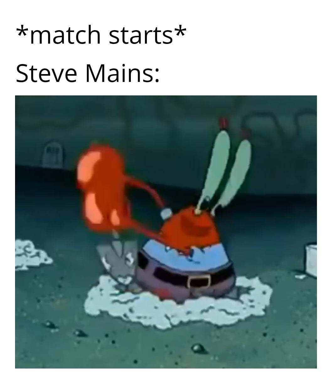Steve is sick - meme
