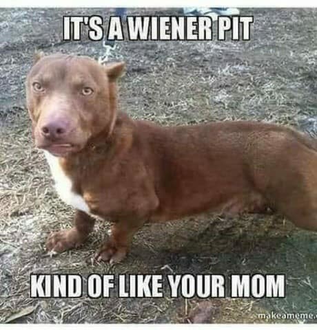 Pit - meme