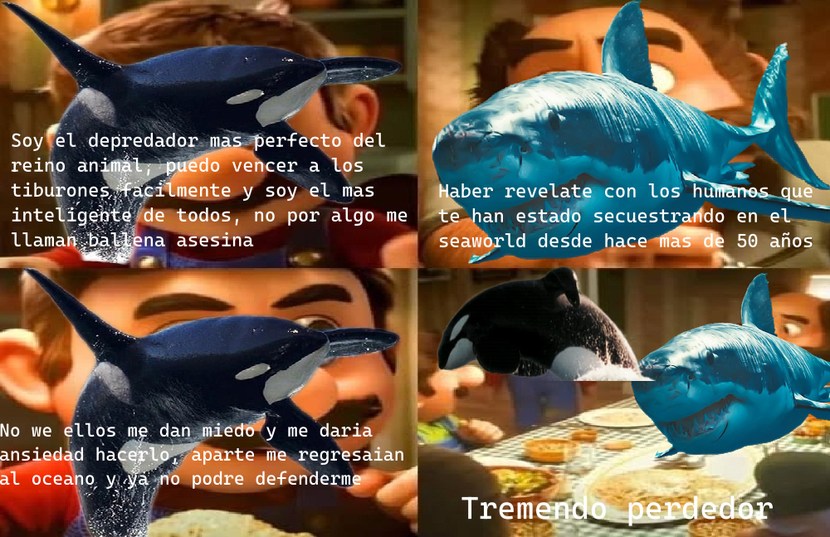Dato: Seaworld dejo que presentar orcas desde 2010 - meme
