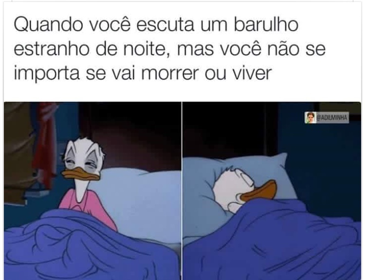 Assim mesmo - meme