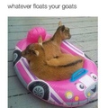 whatever floats your goats