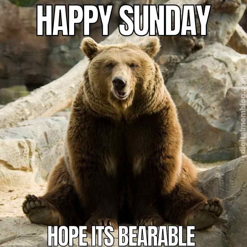 Happy Sunday - meme