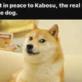 aww RIP Doge