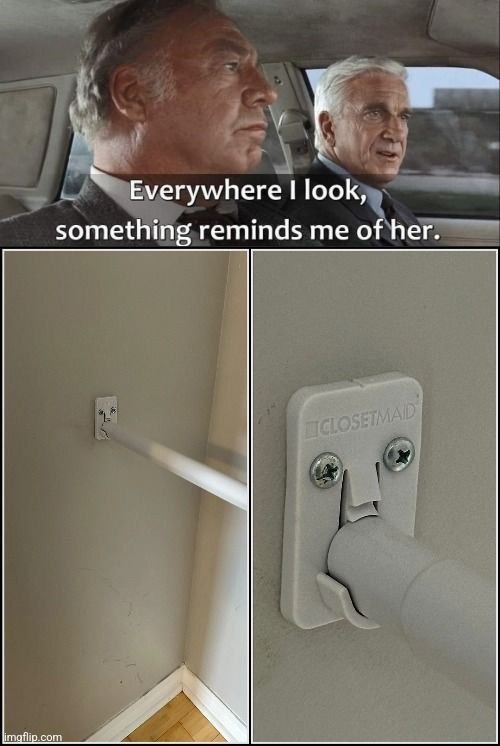 Every closet reminds me of her bro - meme