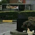 Un poulet qui va au KFC, que va t'il se passé ?