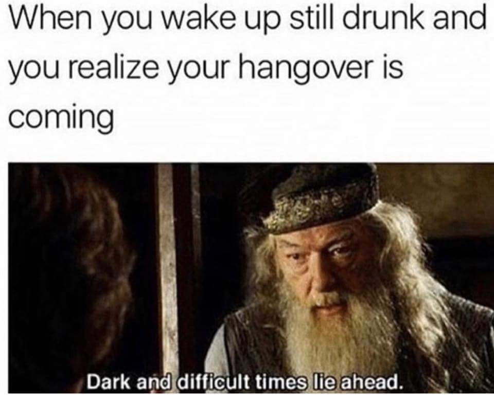 Not the hangover - meme