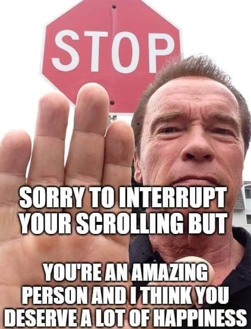 Sorry to interrupt your scrolling - meme