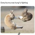 Kung-Fu Rabbit, the new film from Dream Works !