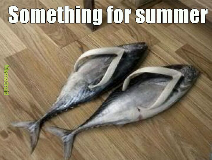 Summer equipment - meme