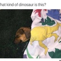 doggosaurus