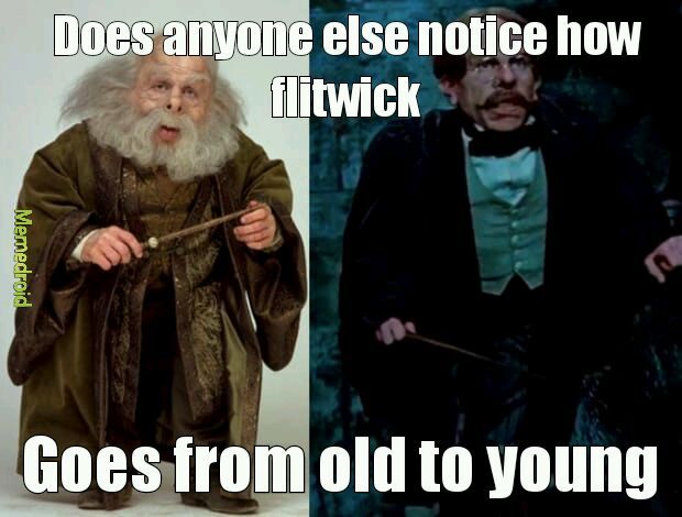 Flitwicks magical transformation - meme