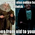Flitwicks magical transformation