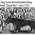 Good boi the first