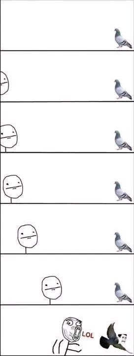 Birds tend to be dicks - meme