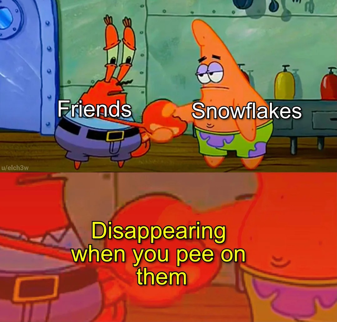 Friends and Snowflakes - meme