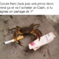 mdr