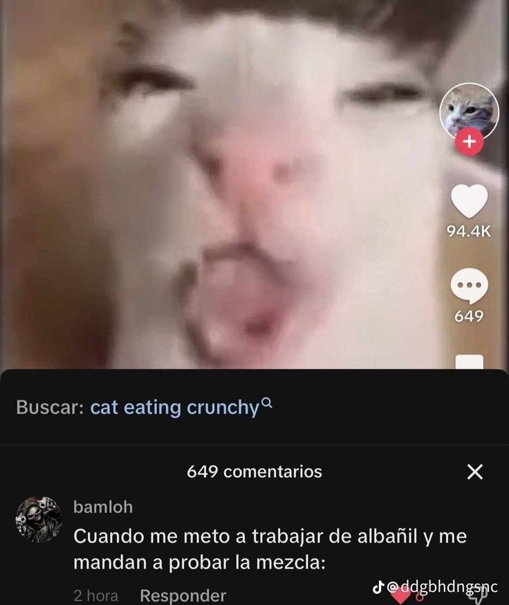 C - meme