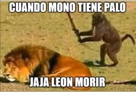 Me vale si esta mierda es rechazada o cagada a negativos,solo quiero publicar después de un tiempo - meme