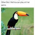 Toucan Play at that game