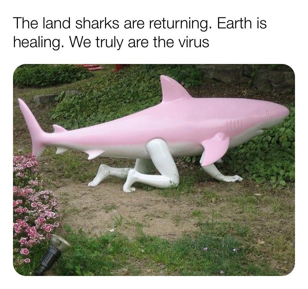 land sharks are great aren't they? - meme