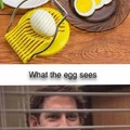 Eggs are crying inside