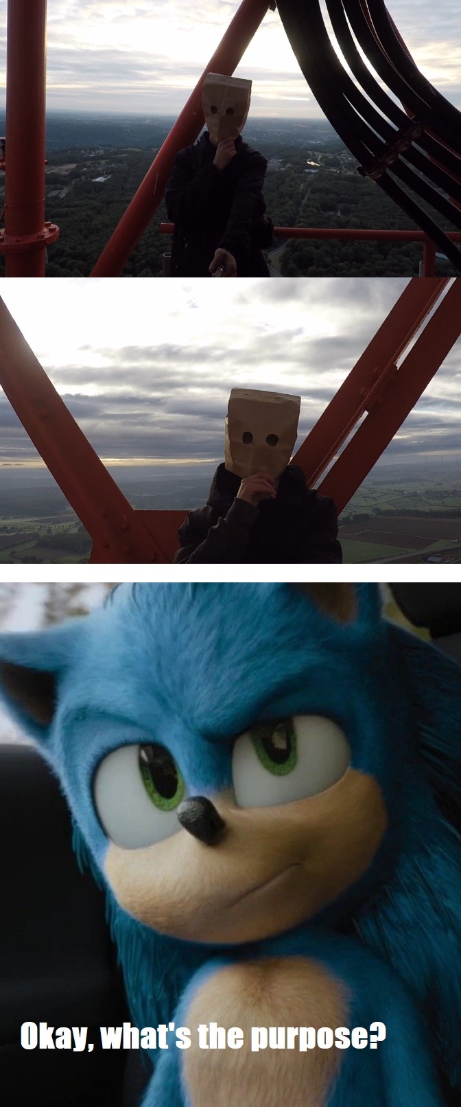 Sonic The Hedgehog, movie meme