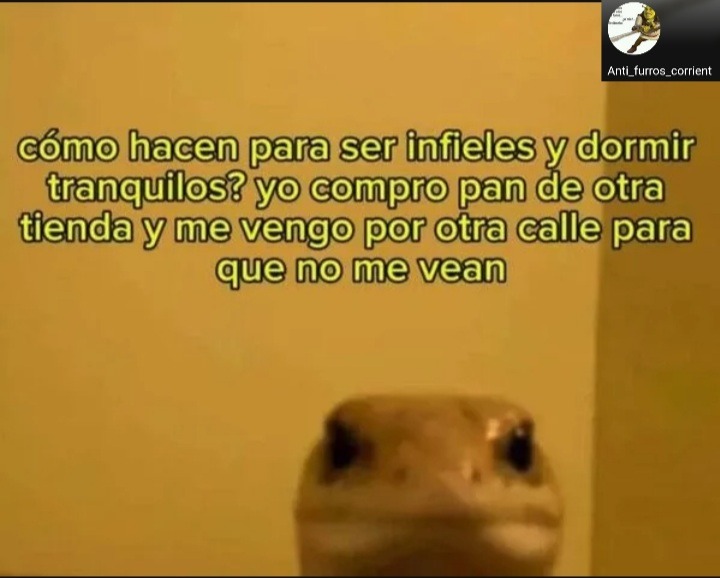 Real - meme